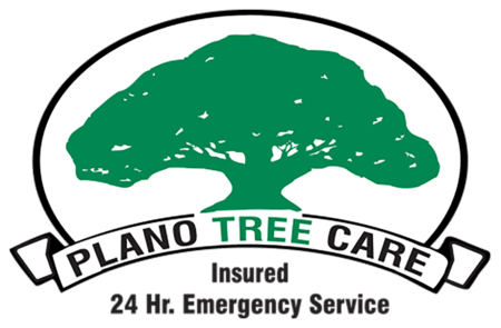 Plano Tree Care Logo